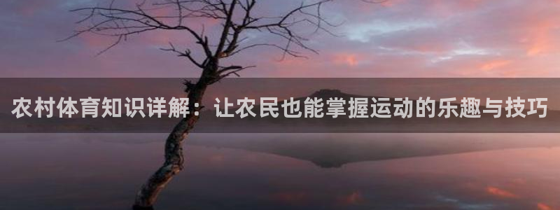 球客岛