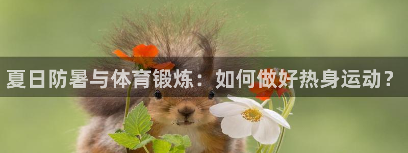 球客岛