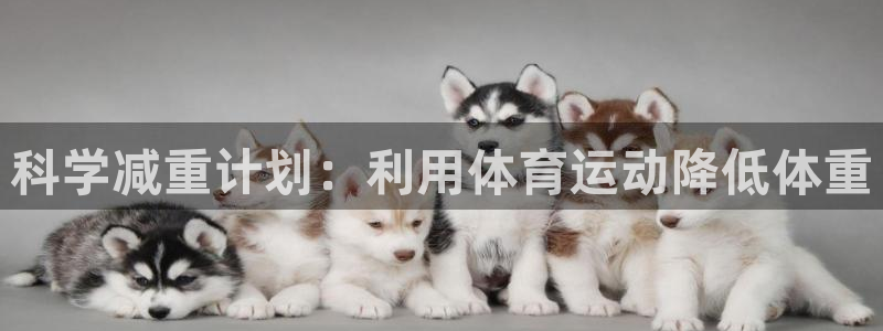 球客岛