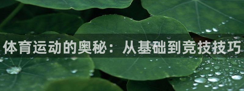 球客岛