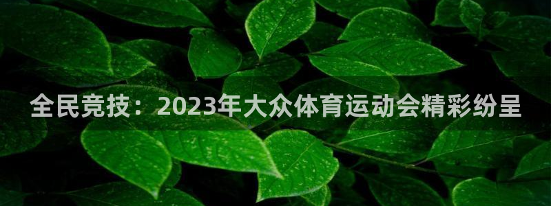 球客岛