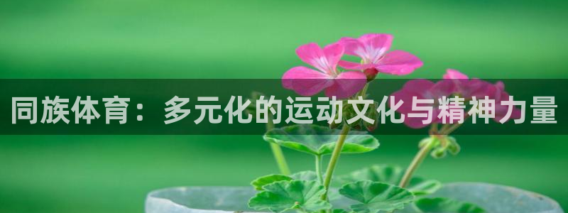 球客岛：同族体育：多元化的运动文化与精神力量