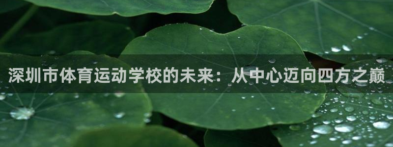 球客岛：深圳市体育运动学校的未来：从中心迈向四方之巅