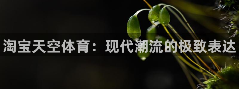 球客岛：淘宝天空体育：现代潮流的极致表达