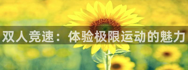 球客岛：双人竞速：体验极限运动的魅力