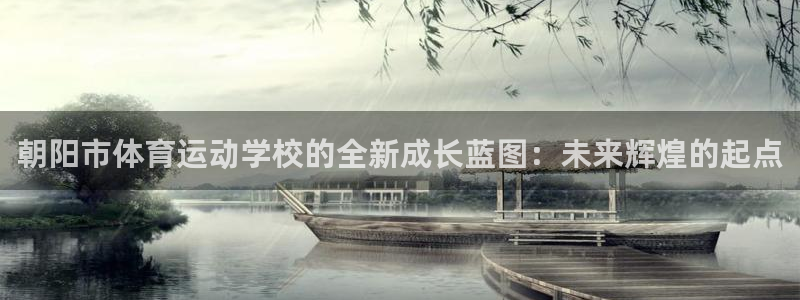 球客岛：朝阳市体育运动学校的全新成长蓝图：未来辉煌的起点