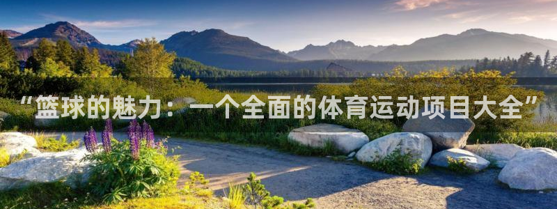 球客岛：“篮球的魅力：一个全面的体育运动项目大全”