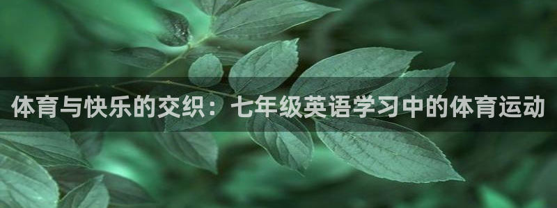 球客岛