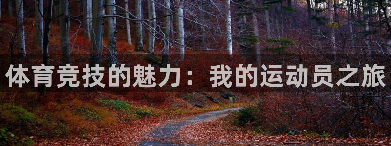 球客岛