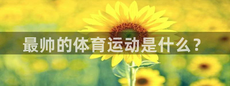 球客岛