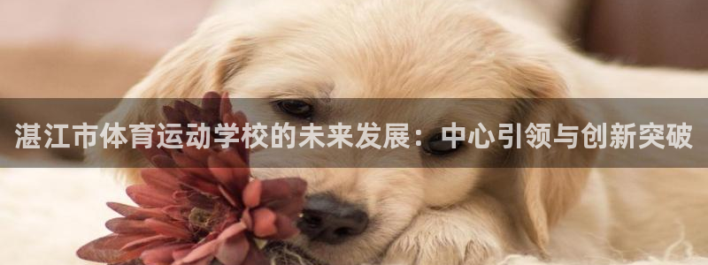 球客岛：湛江市体育运动学校的未来发展：中心引领与创新突破